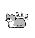 熊熊來襲ʕ •ᴥ•ʔ（個別スタンプ：4）