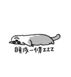 熊熊來襲ʕ •ᴥ•ʔ（個別スタンプ：23）