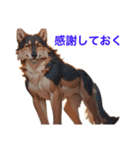 オオカミ先輩のお言葉（個別スタンプ：22）