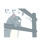 琥珀ちゃんの日常生活（個別スタンプ：10）