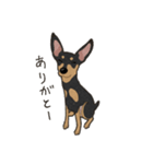 ゆるピン（個別スタンプ：9）