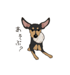 ゆるピン（個別スタンプ：10）