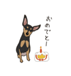 ゆるピン（個別スタンプ：14）