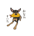 ゆるピン（個別スタンプ：17）