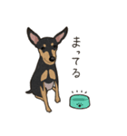 ゆるピン（個別スタンプ：19）