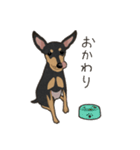 ゆるピン（個別スタンプ：20）