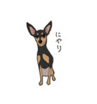 ゆるピン（個別スタンプ：25）