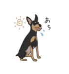 ゆるピン（個別スタンプ：31）