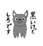 でふぉるめ龍勝院ちゃんとしろうさま（個別スタンプ：8）