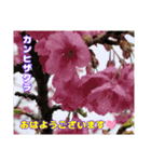 冬の山野草で おはようございます（個別スタンプ：2）
