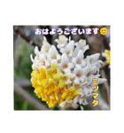 冬の山野草で おはようございます（個別スタンプ：7）