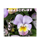 冬の山野草で おはようございます（個別スタンプ：32）
