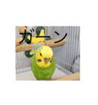 動画で〜す！（個別スタンプ：2）