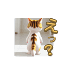 笑顔いっぱいのネコ♡幸せスタンプ（個別スタンプ：4）