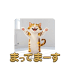 笑顔いっぱいのネコ♡幸せスタンプ（個別スタンプ：10）