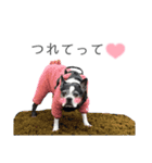 トニーの日常6（個別スタンプ：3）
