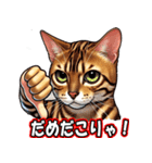 ベンガル猫の日常会話（個別スタンプ：2）