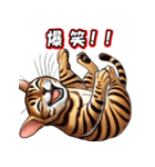 ベンガル猫の日常会話（個別スタンプ：4）