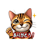 ベンガル猫の日常会話（個別スタンプ：5）