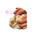 うさぎのフッくん（個別スタンプ：5）