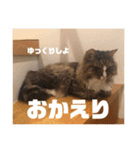 マルとの日々（個別スタンプ：14）
