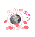 大切な家の猫（個別スタンプ：4）