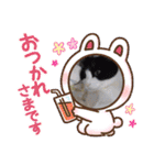 大切な家の猫（個別スタンプ：6）