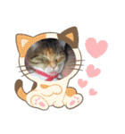 大切な家の猫（個別スタンプ：7）