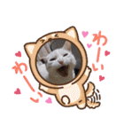 大切な家の猫（個別スタンプ：13）