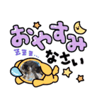 大切な家の猫（個別スタンプ：33）
