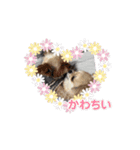 m.l.c.r.r（個別スタンプ：3）