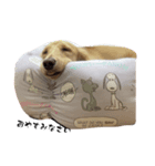 いとちゃん③スタンプ（個別スタンプ：2）