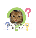 むぎスタンプver2（個別スタンプ：14）
