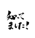 使いやすい言葉を筆で3（個別スタンプ：20）