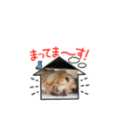 いとちゃん ②スタンプ（個別スタンプ：5）
