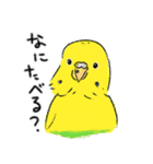 ご機嫌なセキセイインコ 2（個別スタンプ：2）