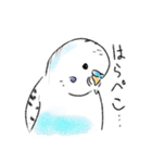 ご機嫌なセキセイインコ 2（個別スタンプ：3）