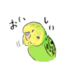 ご機嫌なセキセイインコ 2（個別スタンプ：4）
