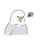 ご機嫌なセキセイインコ 2（個別スタンプ：5）