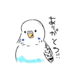 ご機嫌なセキセイインコ 2（個別スタンプ：8）