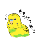 ご機嫌なセキセイインコ 2（個別スタンプ：10）