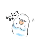 ご機嫌なセキセイインコ 2（個別スタンプ：11）