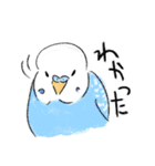 ご機嫌なセキセイインコ 2（個別スタンプ：13）