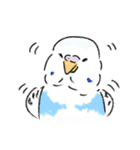 ご機嫌なセキセイインコ 2（個別スタンプ：16）