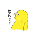ご機嫌なセキセイインコ 2（個別スタンプ：17）