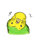 ご機嫌なセキセイインコ 2（個別スタンプ：22）