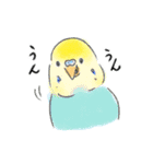 ご機嫌なセキセイインコ 2（個別スタンプ：23）