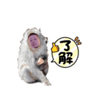 愉快なおじちゃん（個別スタンプ：12）