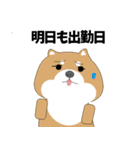 仕事に奮闘する愛くるしい動物たち（個別スタンプ：12）