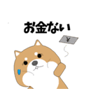 仕事に奮闘する愛くるしい動物たち（個別スタンプ：15）